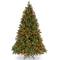 6.5ft. Pre-Lit Downswept Douglas® Fir Tree, Multicolor Lights